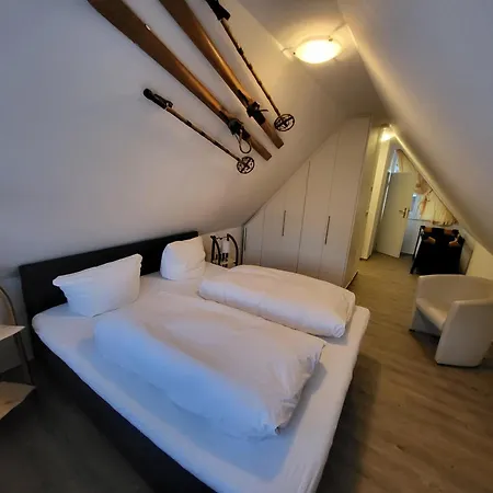 Feriehus Haus Am Berg - Grosses Haus Mit Sauna Fuer Bis Zu 10 Personen Unweit Vom Skihang *