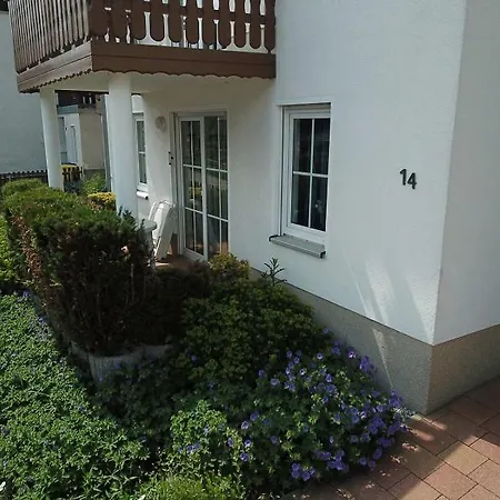 Haus Am Berg - Grosses Haus Mit Sauna Fuer Bis Zu 10 Personen Unweit Vom Skihang Holiday home *